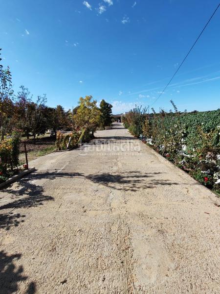 Foto 68fa665c-add7-4377-bc55-5ed1b8c72a41. Masia a Marchena