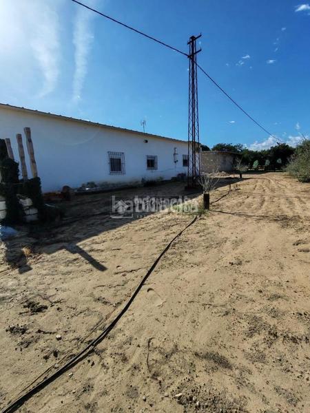 Foto dc5026b3-da39-4bcd-9fb6-54be6330ba99. Masia a Marchena