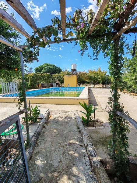 Foto fcfa3acf-5792-4386-8448-4e569cee4b8f. Masia a Marchena