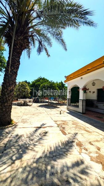 Foto 04921c98-2d7c-43d5-b61f-68dd8888df94. Masia amb piscina a Marchena