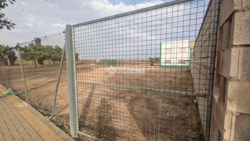 Foto 65544a11-90c4-4823-bfce-a0e07fcb9e37. Terreny residencial a Marchena