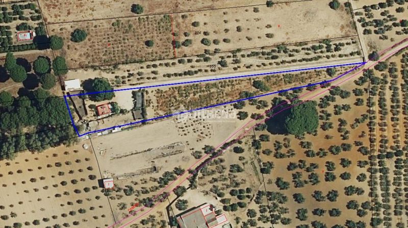 Foto 233b4ca3-c303-4b1c-bafd-b870920fa066. Finca rústica terrenos en venta en Marchena