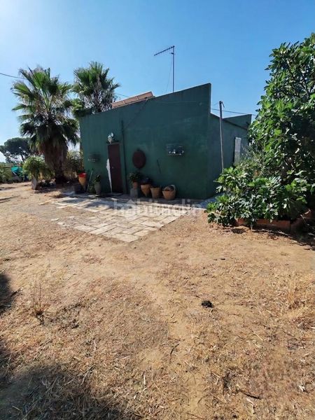 Foto 3160124e-12ce-487d-98ab-b4e9e602ee7d. Finca rústica terrenos en venta en Marchena