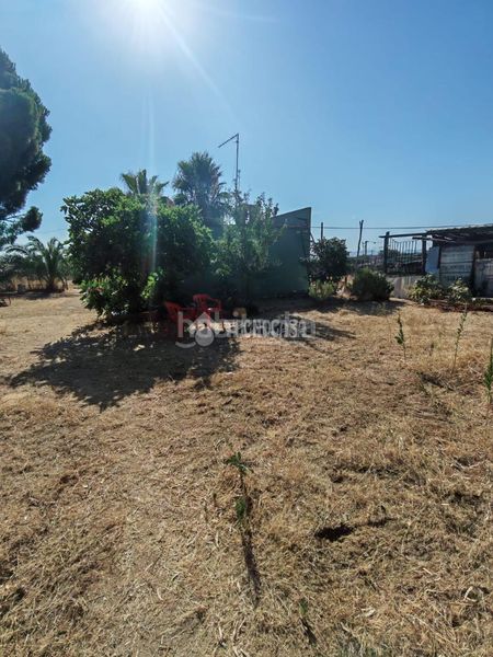 Foto 7605fde2-1f3e-4b32-913b-f14b073da885. Finca rústica terrenos en venta en Marchena