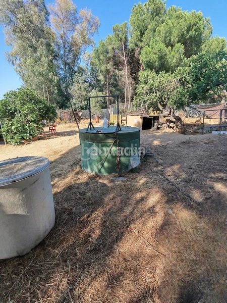 Foto 90c3fc0f-aeff-49fc-aff8-bbf694476684. Finca rústica terrenos en venta en Marchena