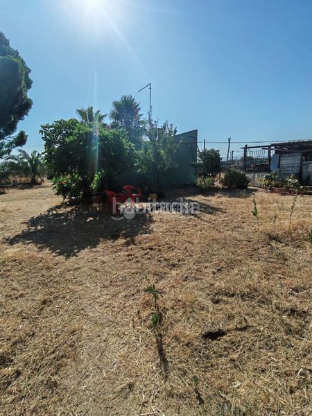 Foto 990f2bca-c88f-4f21-b7ff-aafa62e26f7c. Finca rústica terrenos en venta en Marchena