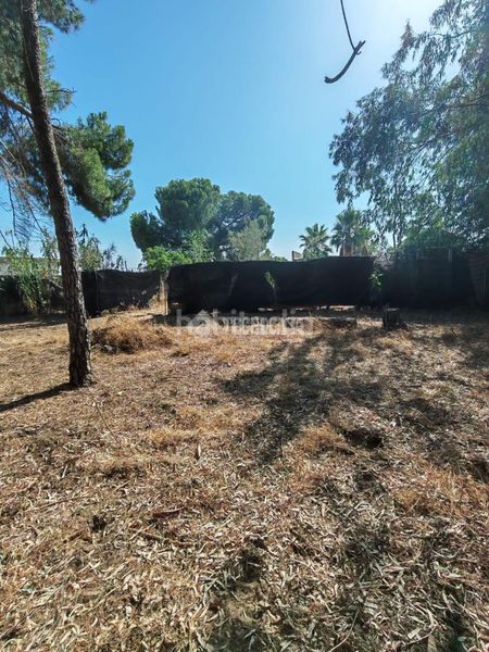 Foto f5d3c4d1-0779-49be-950a-580d779aaeaa. Finca rústica terrenos en venta en Marchena