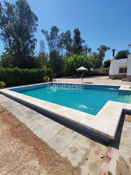 Foto 1c23d820-6d9d-4985-a94d-de199d51629c. Masia amb piscina a Marchena