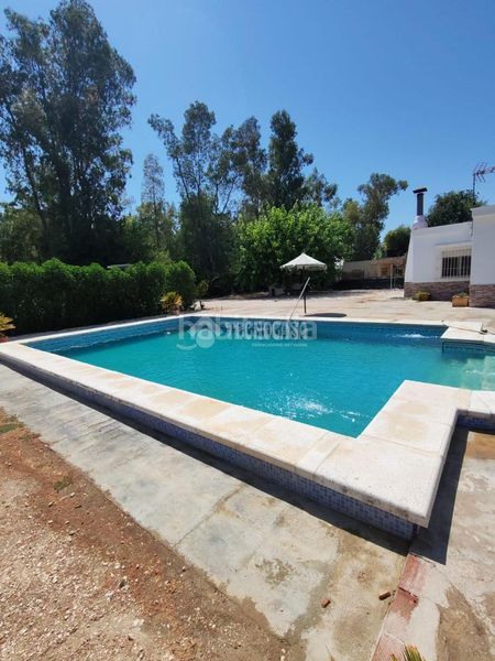 Foto 7dc6d23d-4649-4429-be8a-7de8bc9ffcbf. Masia amb piscina a Marchena