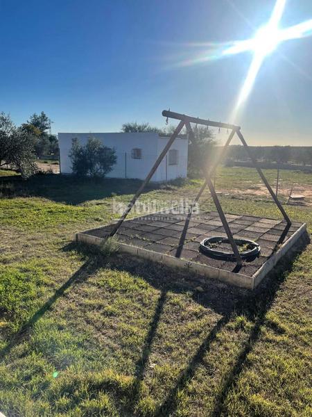 Foto 11fb458d-3824-4a89-984f-a193db5da969. Fondo rustico in Arahal