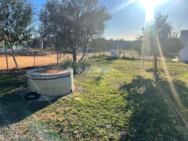 Foto 191e297c-75a9-45e7-9806-5f613646d2f2. Fondo rustico in Arahal