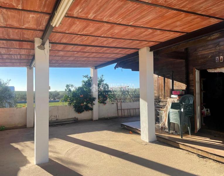 Foto 1a83ded1-a2ca-4002-8160-6e7714fb1f01. Fondo rustico in Arahal