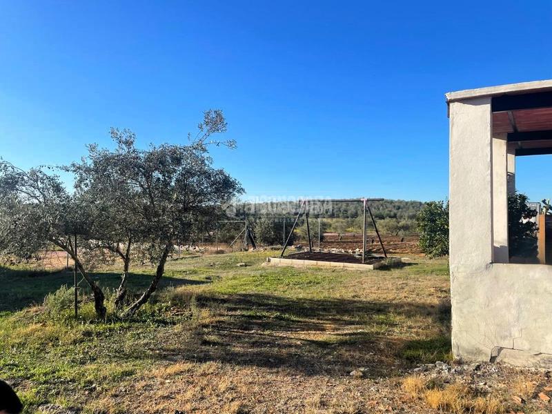 Foto 31f73132-8087-46c3-9cbb-7eb3cf23713c. Fondo rustico in Arahal