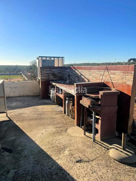 Foto 9aed9261-a1ea-4be1-aa72-5d906b97f435. Fondo rustico in Arahal