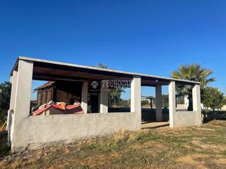 Finca rústica en Arahal. Terrenos en venta en arahal