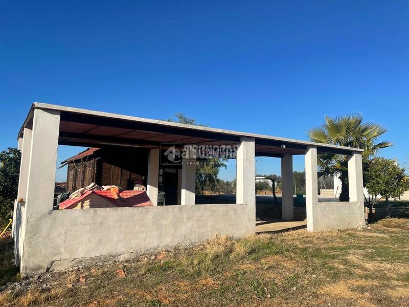 Foto a82752f4-8242-49d7-a469-e65bca5ce90c. Fondo rustico in Arahal