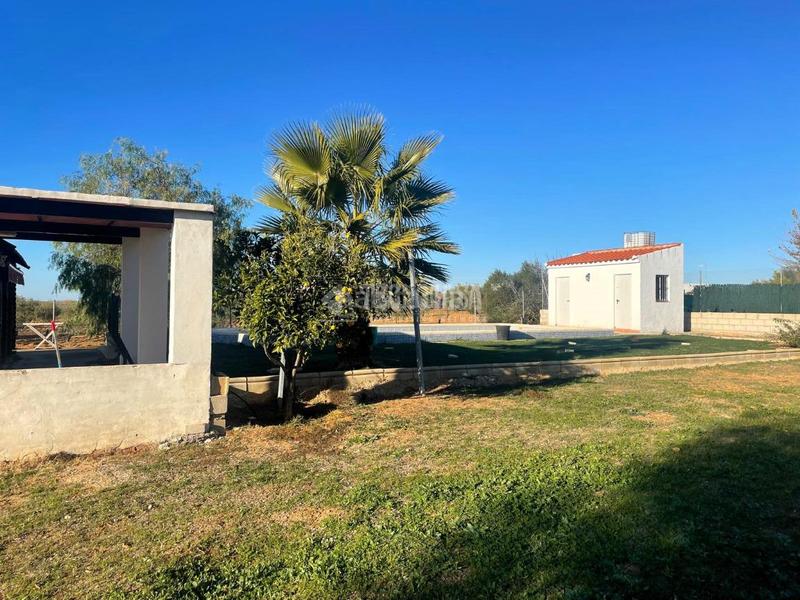 Foto bb2454c0-1a73-4a16-912f-ddf1362ce429. Fondo rustico in Arahal