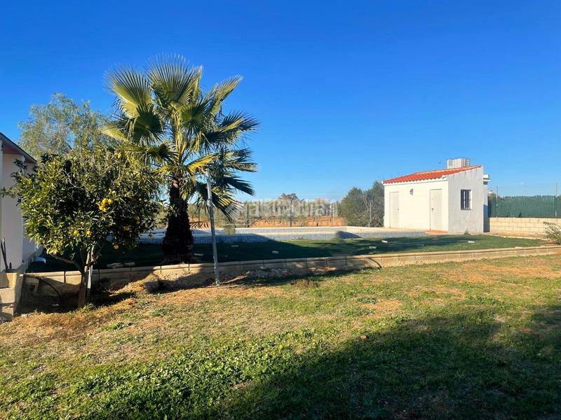 Foto ec1381ec-1253-4bb4-a9fa-a6a5bbefd28e. Fondo rustico in Arahal