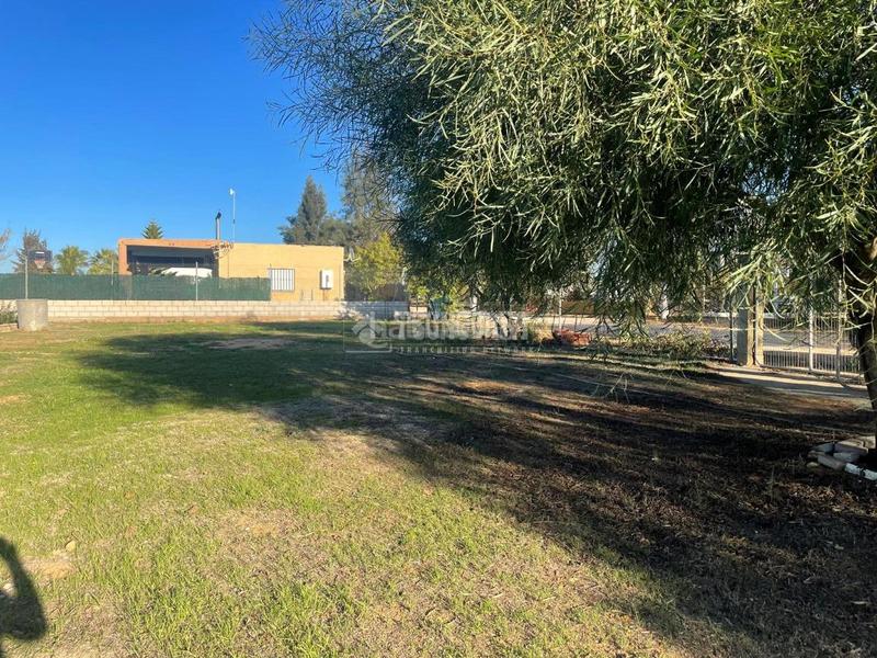 Foto ef574753-264e-487c-8800-d0b63b73c495. Fondo rustico in Arahal