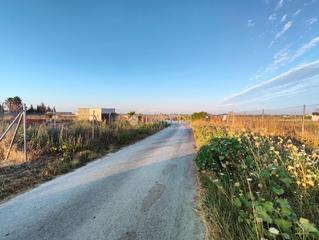 Propriété à Palacios y Villafranca (Los). Terrenos en venta en los palacios y villafranca