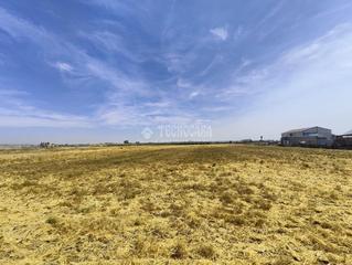 Propriété à Palacios y Villafranca (Los). Terrenos en venta en los palacios y villafranca