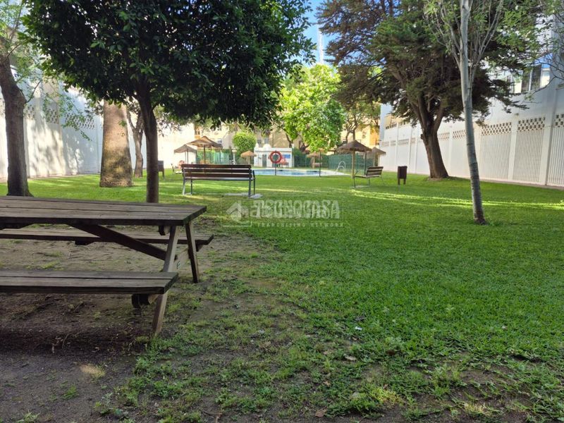 Foto 5b197e4f-4d2c-478e-984e-e8d93cdcc254. Pis amb calefacció piscina a El Consul - Ciudad Universitaria - El Romeral Málaga