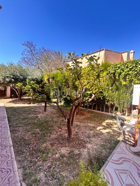 Foto d2334ccb-e5eb-4c75-82fc-3f49d7b7ba92. Chalet ¡chalet en Valverde! en Valverde Elche / Elx