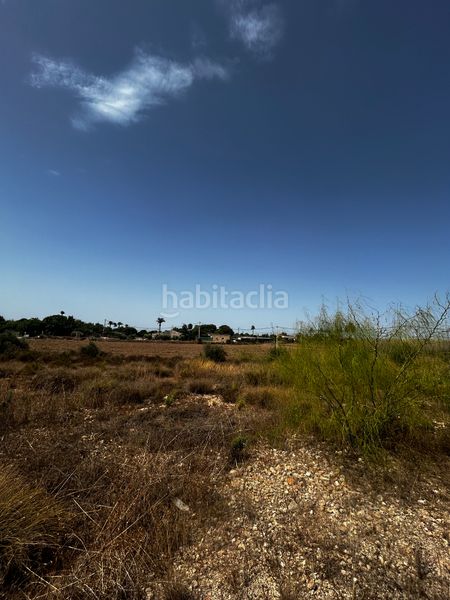 Foto 2b0fac95-40e8-4b7d-9bbc-875662b20c86. Finca rústica a Valverde Elche / Elx