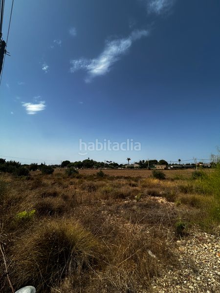 Foto b57e7770-bf01-4895-a044-3b72b3189490. Finca rústica a Valverde Elche / Elx