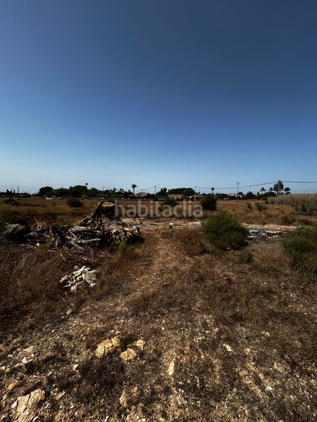 Foto f6516021-6228-4078-84b2-c484366d3335. Finca rústica a Valverde Elche / Elx