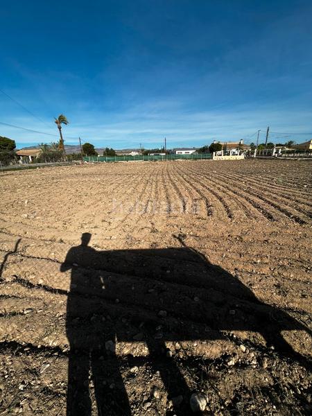 Foto 078e106c-b982-44f4-af3b-6dd9d1c5d0c3. Finca rústica a La Algoda - Matola - Llano de San José Elche / Elx