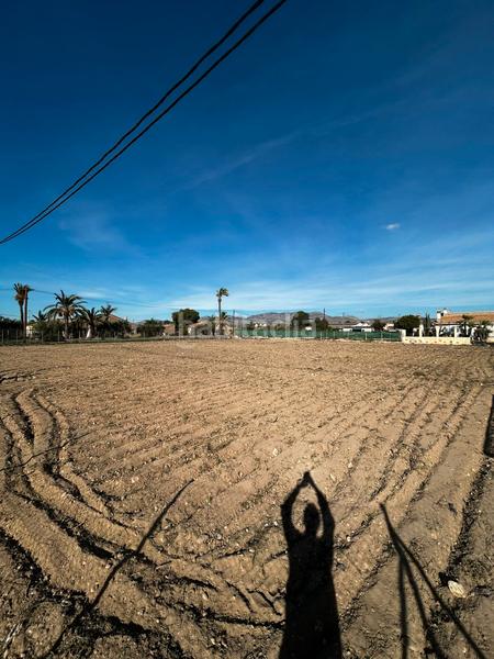 Foto b5ad428e-46b0-474d-9f8b-7cef49f41074. Finca rústica a La Algoda - Matola - Llano de San José Elche / Elx