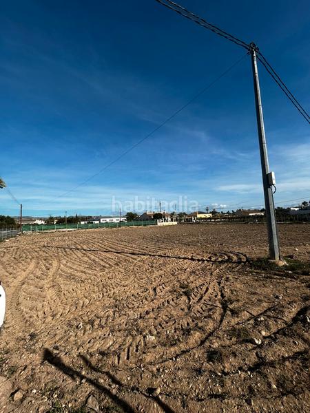 Foto f22404f7-1a89-40bb-ad42-cfd4fe88cc9e. Finca rústica a La Algoda - Matola - Llano de San José Elche / Elx