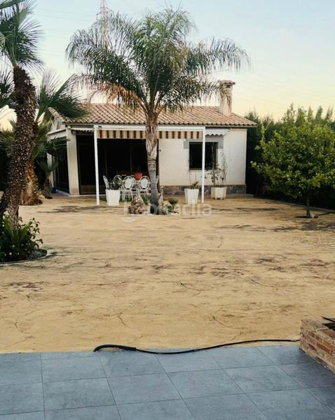 Foto 71c82c79-11d3-44eb-9294-01d14bc8f71b. Xalet a partida matola 3218 a La Algoda - Matola - Llano de San José Elche / Elx