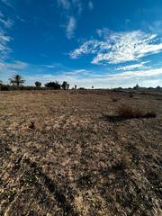 Finca rústica  Partida marina 14. Terreno con casita de aperos