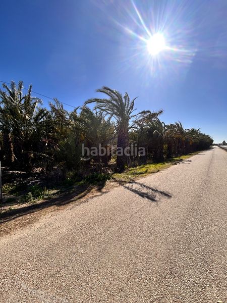 Foto 04282942-000f-4236-8077-70e2429359a8. Finca rústica a La Foia - Daimés - Asprella Elche / Elx