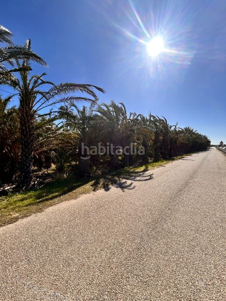 Foto ac53253a-dc2d-4ab6-9ee9-fbe8b0488b31. Finca rústica a La Foia - Daimés - Asprella Elche / Elx