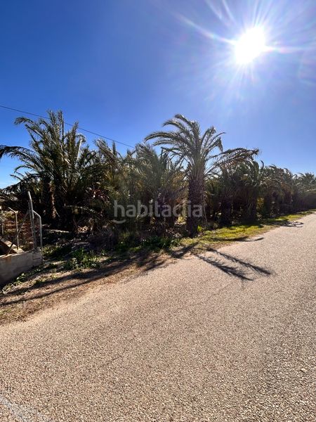 Foto be40a027-0de2-48f0-8d3c-b330b22a38f7. Finca rústica a La Foia - Daimés - Asprella Elche / Elx