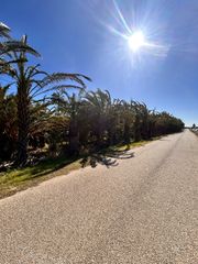 Finca rústica en Partida Daimes