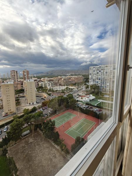 Foto 67196b38-08b1-43e3-a531-9ff8cfca6615. Estudi amb calefacció a Juzgados - Plaza de Toros Benidorm