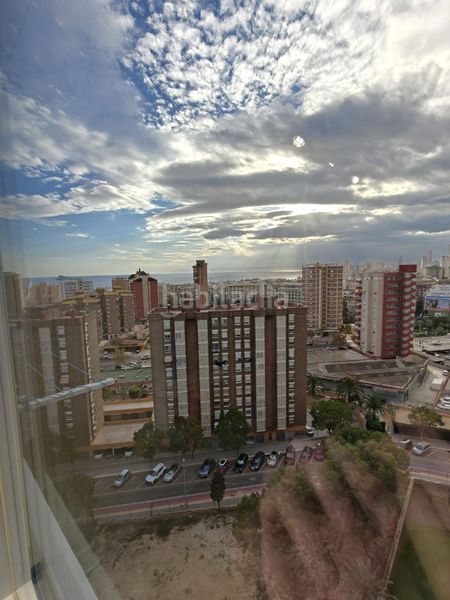 Foto 9daf2797-8fe3-4fd7-a727-2e50bbb4ebd4. Estudi amb calefacció a Juzgados - Plaza de Toros Benidorm