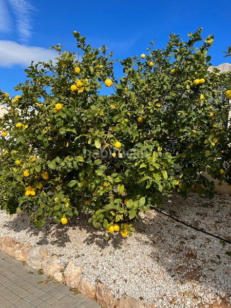 Foto bdd82aa6-d87f-438d-a4e4-4a57133f1d0b. Xalet amb aparcament piscina a Mascarat Altea