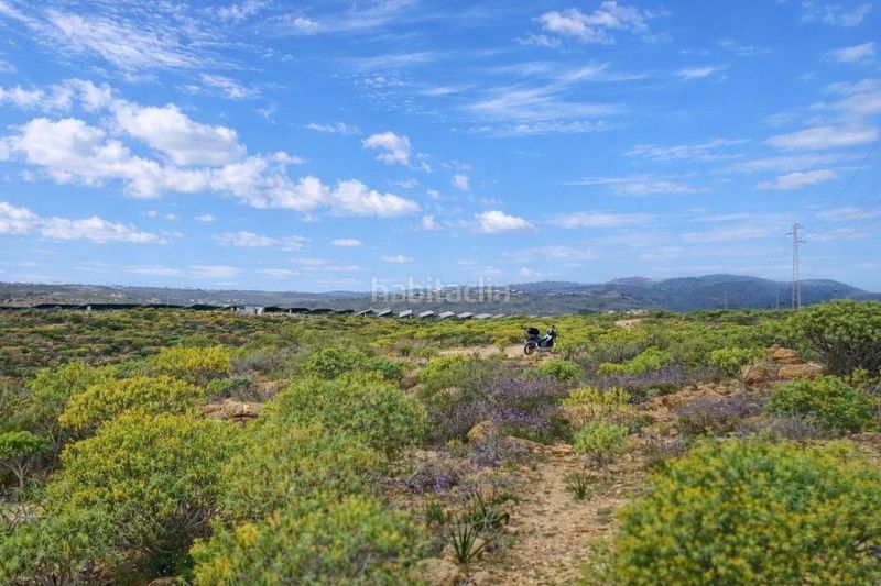 Foto 74916ee8-e165-4902-8ae3-0a0a8095e328. Finca rústica a Arico