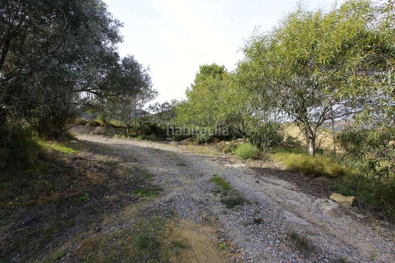 Foto 0abed7df-81e4-4ff1-ab15-2e9ab32c5c67. Pis a Algezares Murcia