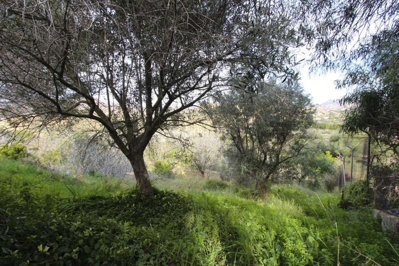 Foto 402685b6-99bf-4f6e-84a9-2f6c35ce09fb. Pis a Algezares Murcia