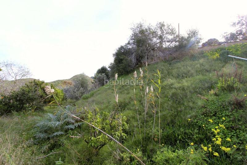 Foto 45bce4da-42a1-493e-8428-53874c121e1c. Pis a Algezares Murcia