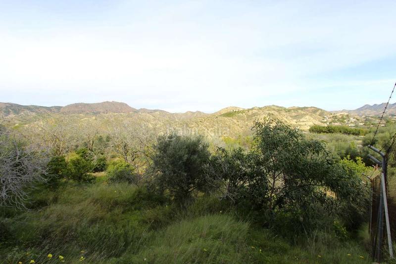 Foto 4dd0c35d-9b1d-4d39-8074-ae9a94ffef2b. Pis a Algezares Murcia