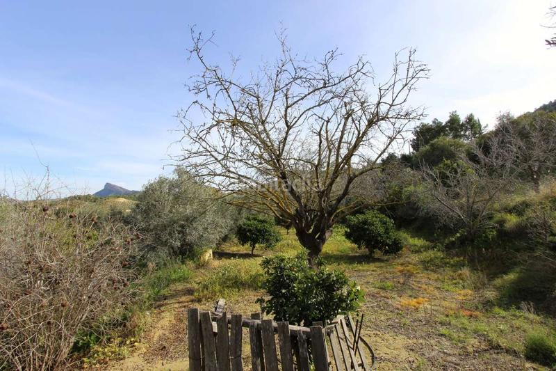 Foto 9d378417-6897-4591-be9a-cbbe8f0f4997. Pis a Algezares Murcia