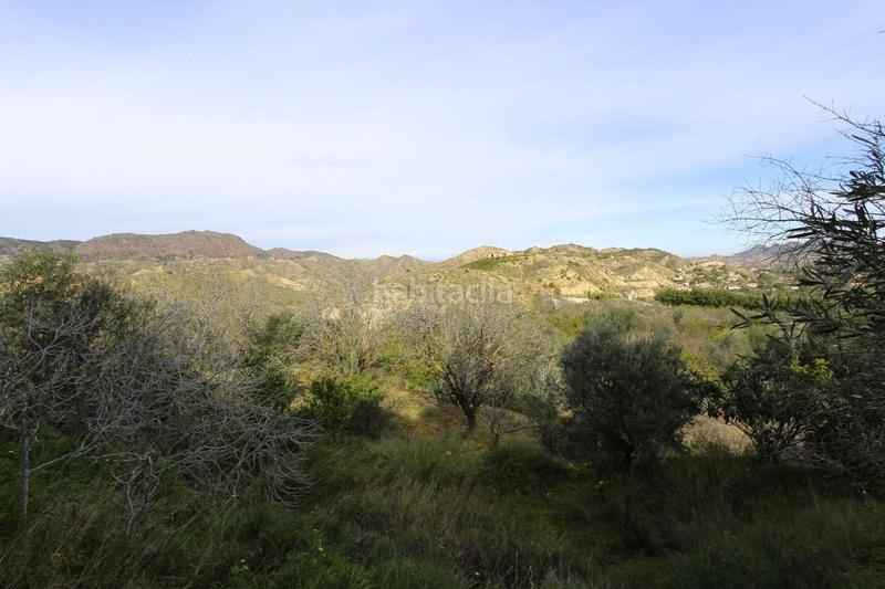 Foto 9f518173-0d33-49c5-b6d8-66c889f7d7a0. Pis a Algezares Murcia
