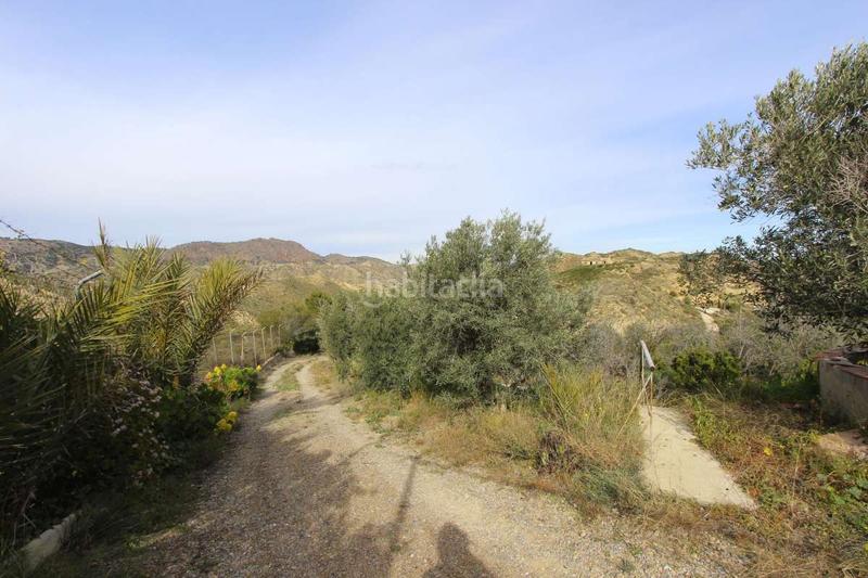 Foto aedbcb23-e875-475e-bcc2-c47ad0b14743. Pis a Algezares Murcia